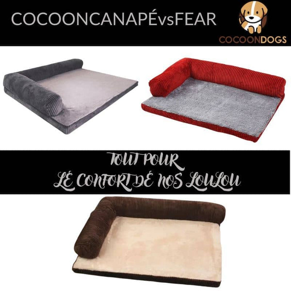 meilleur-anti-stress-pour-chien-presentation-tout-produits