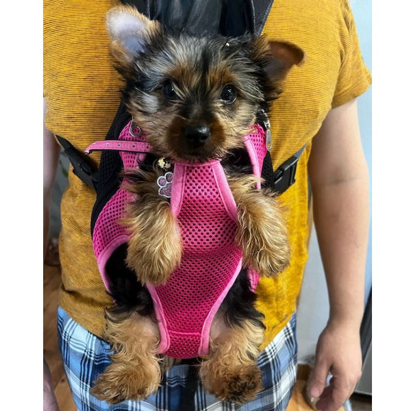 Sac-transport-chien-rose-moyen