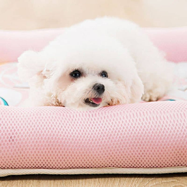 tapis-rafraichissant-chien-reposant-rose